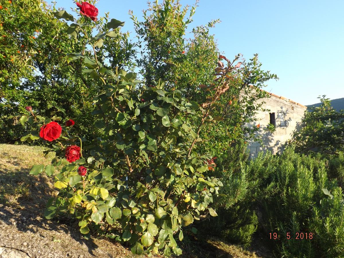 Raj Kotor Exterior foto